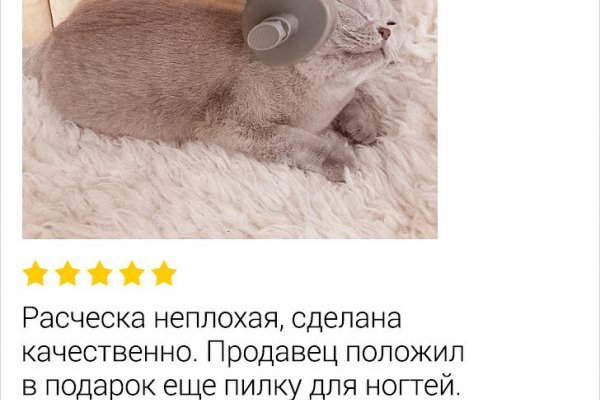 Kraken darknet зеркала