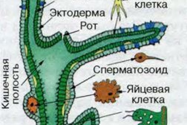 Ссылка на кракен даркнет