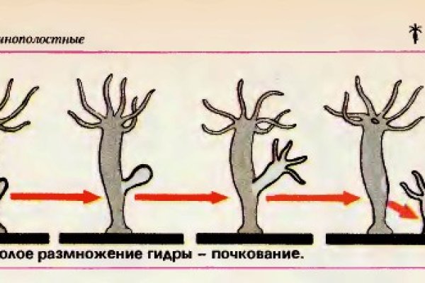 Кракен купить меф