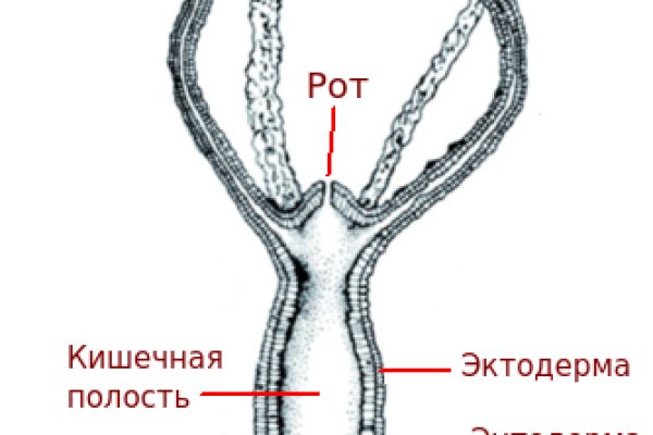 Кракен онион рабочая ссылка
