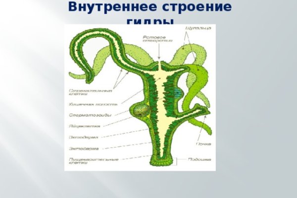 Кракен клирнет