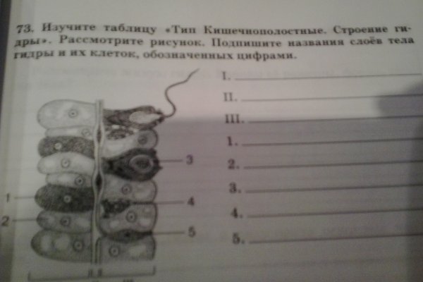 Kraken ссылка kraken torion