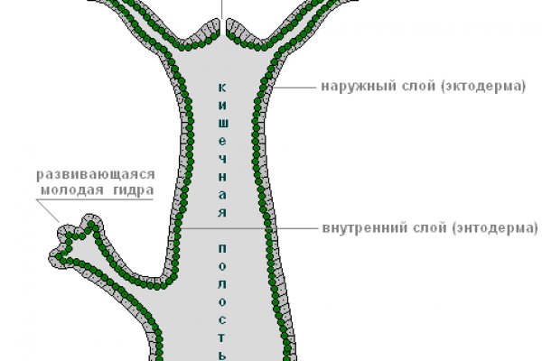 Кракен маркет даркнет слушать