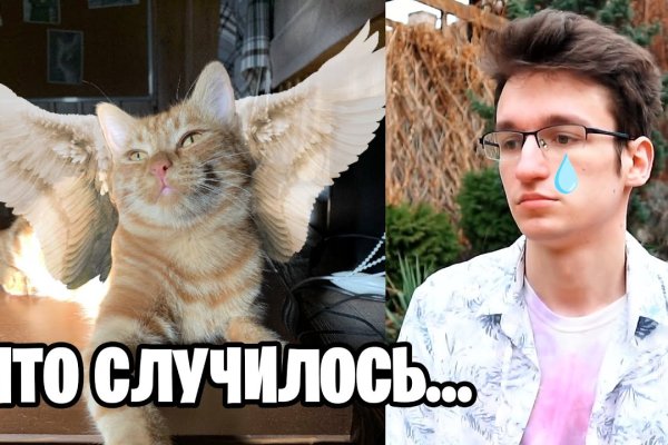 Кракен сайт дарк нет