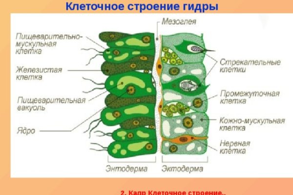 Кракен рабочая ссылка тор