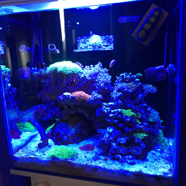 Kraken 12 at сайт